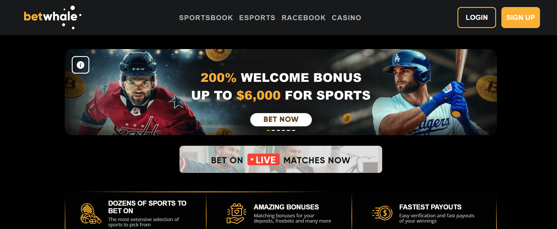 Homepage of BetWhale casino with high-limit tables and fast crypto payouts